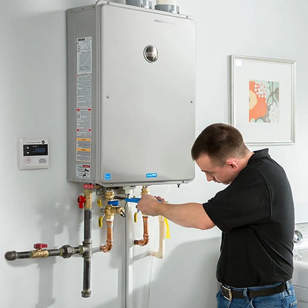 tankless water heater repair in Ruth, MI